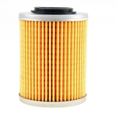 OEM Quality Oil Filter Model 0800-011300 for ATV/UTV with Dry Pattern